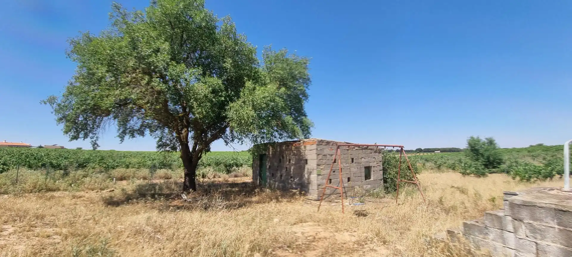 Country homes for sale in Calle Diseminados, 590, Villarrobledo Country homes for sale in Villarrobledo with Terrace and Swimming Pool