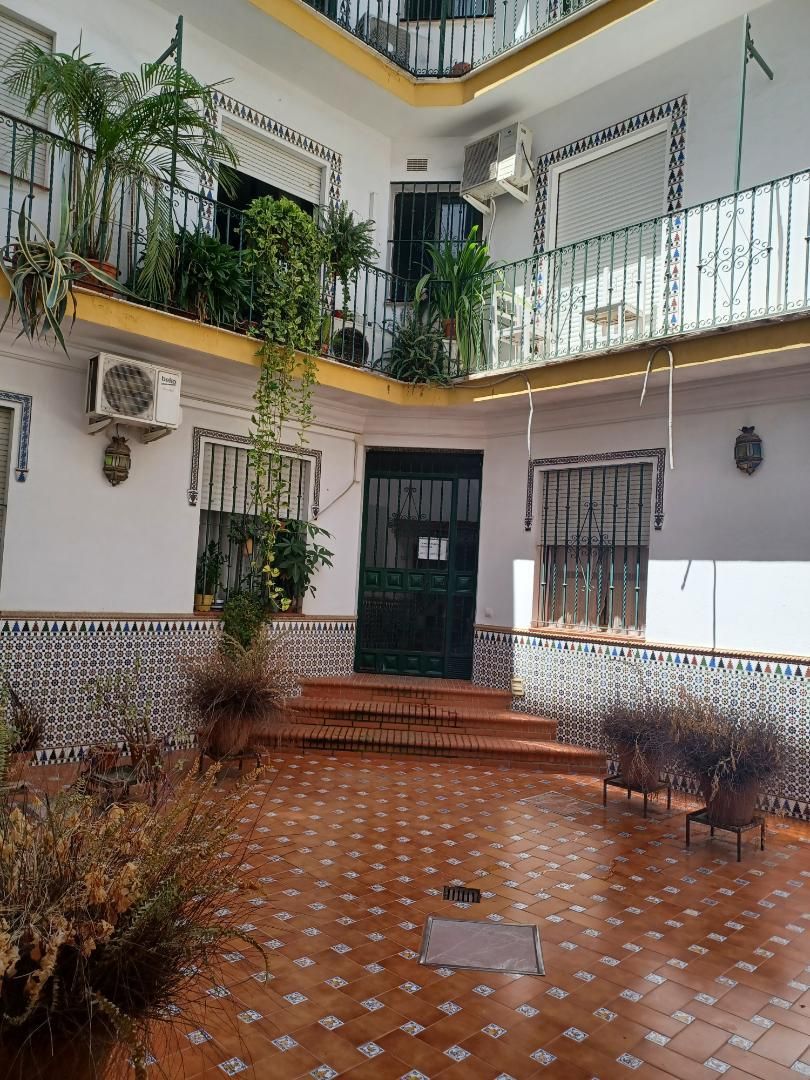 Exterior view of Flat to rent in  Sevilla Capital  with Air Conditioner and Terrace