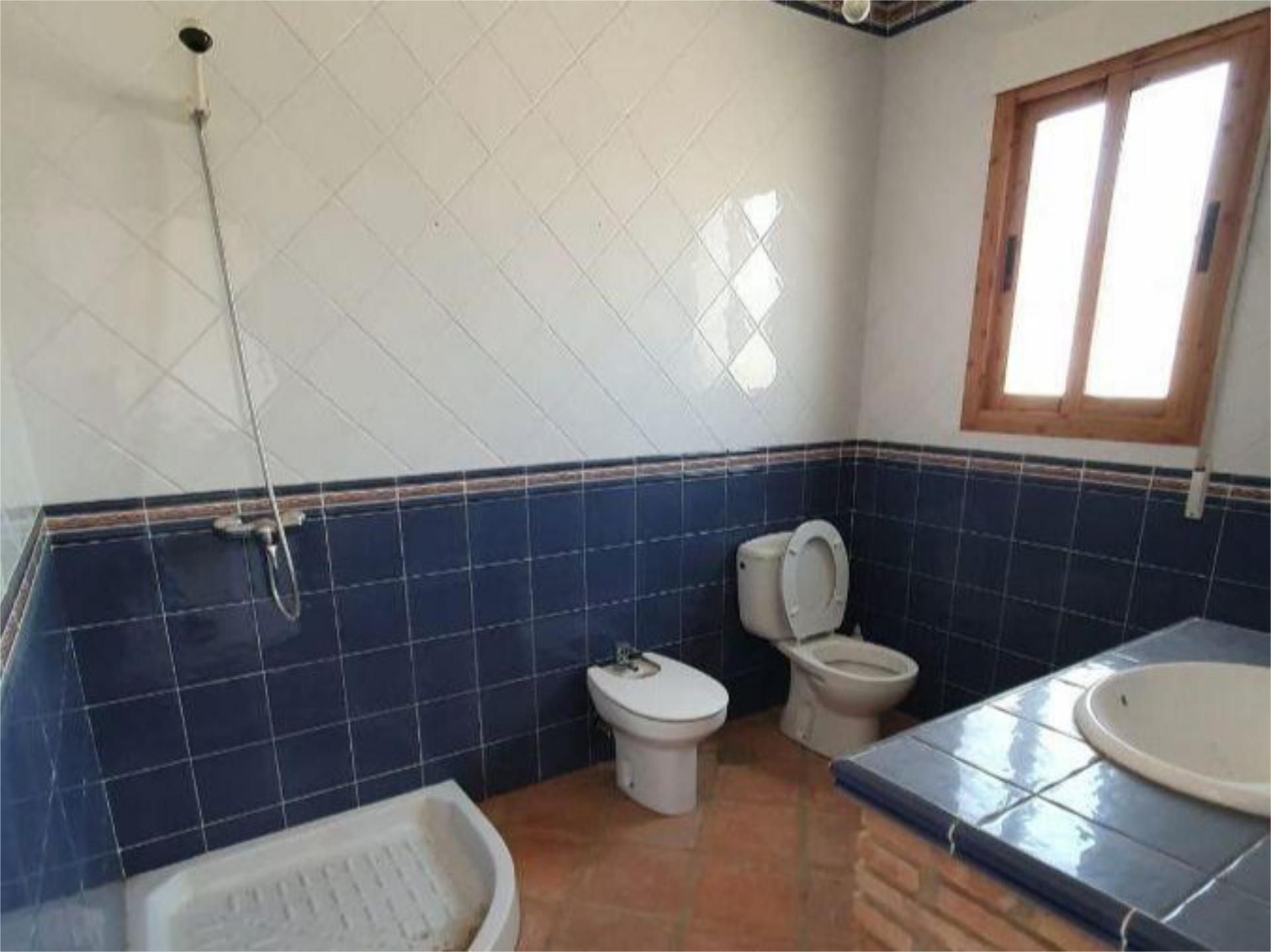 Bathroom of Country house for sale in Cádiar