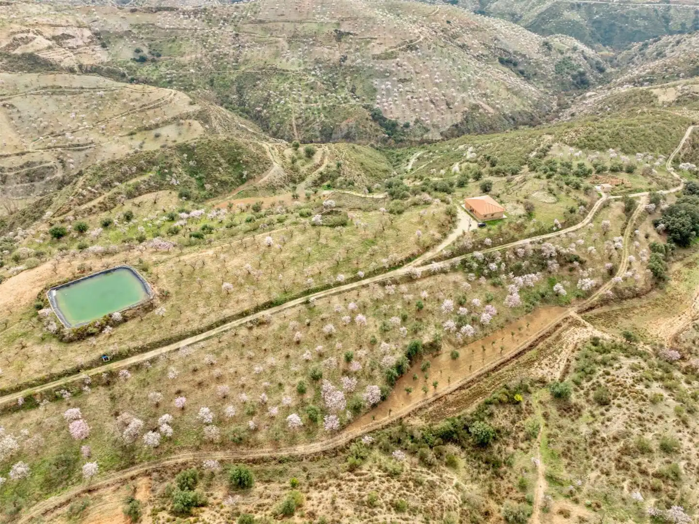 Country homes for sale in Cádiar