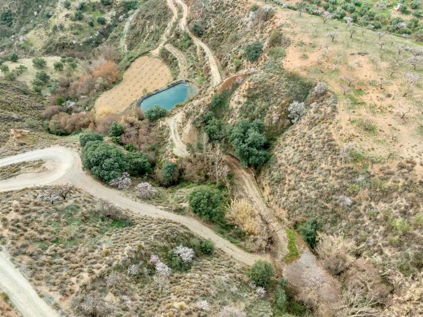 Country homes for sale in Cádiar