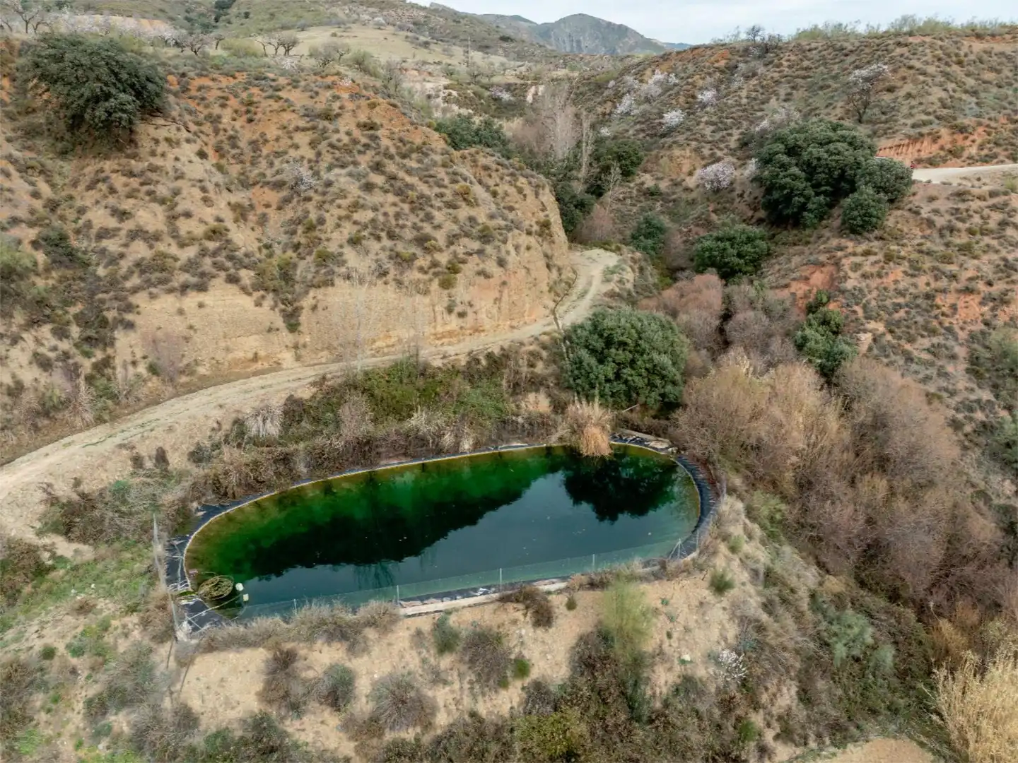Swimming pool of Country homes for sale in Cádiar