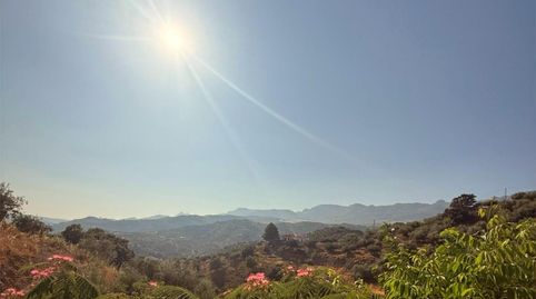 Foto 2 de Finca rústica en venta en Camino de Magiaza, 18, Riogordo, Málaga