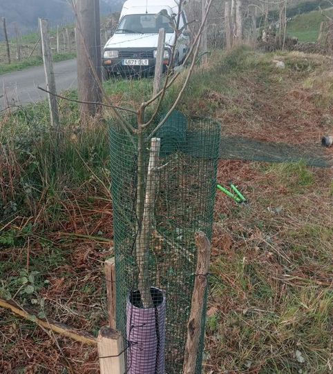 Foto 2 de Finca rústica de alquiler en Santakurutz Kalea, 5, Zestoa, Gipuzkoa
