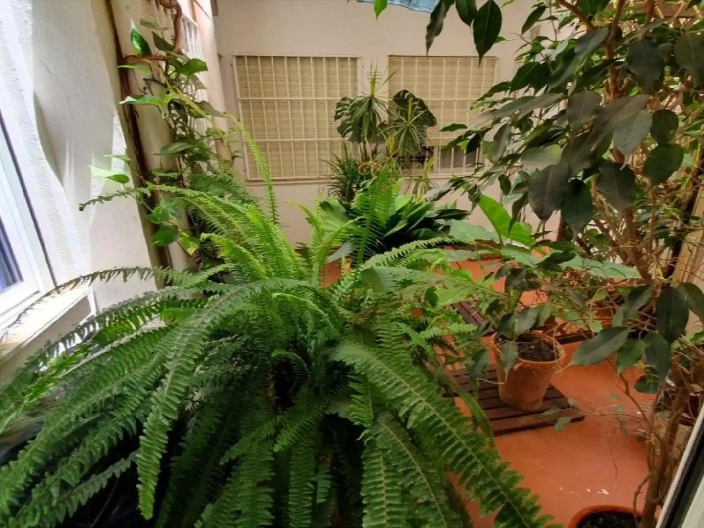 Wohnung zum Verkauf in Avenida Alfredo Nobel, 115, Cabo Cervera Garten von Wohnung zum Verkauf in Torrevieja mit Klimaanlage, Heizung und Privatgarten