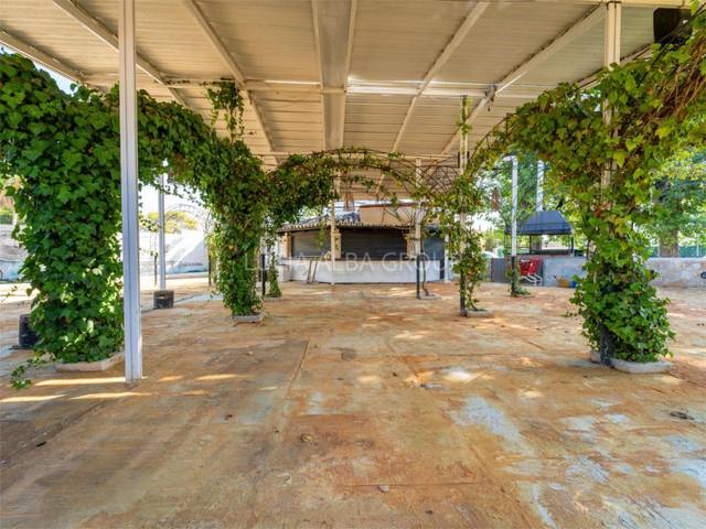 Local comercial en Alquiler en Carrer del Portugal, 2 en Port d'Alcúdia - Platja d'Alcúdia