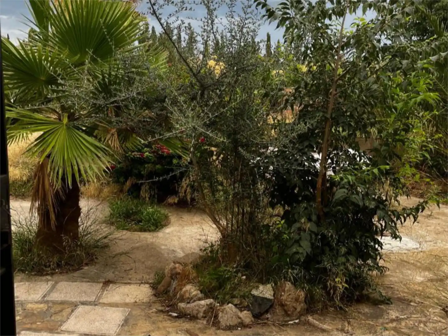 Country homes for sale in Carrer Tarragona, 2, Port - Horta de Santa María Garden of Country homes for sale in Cambrils with Private garden and Furnished