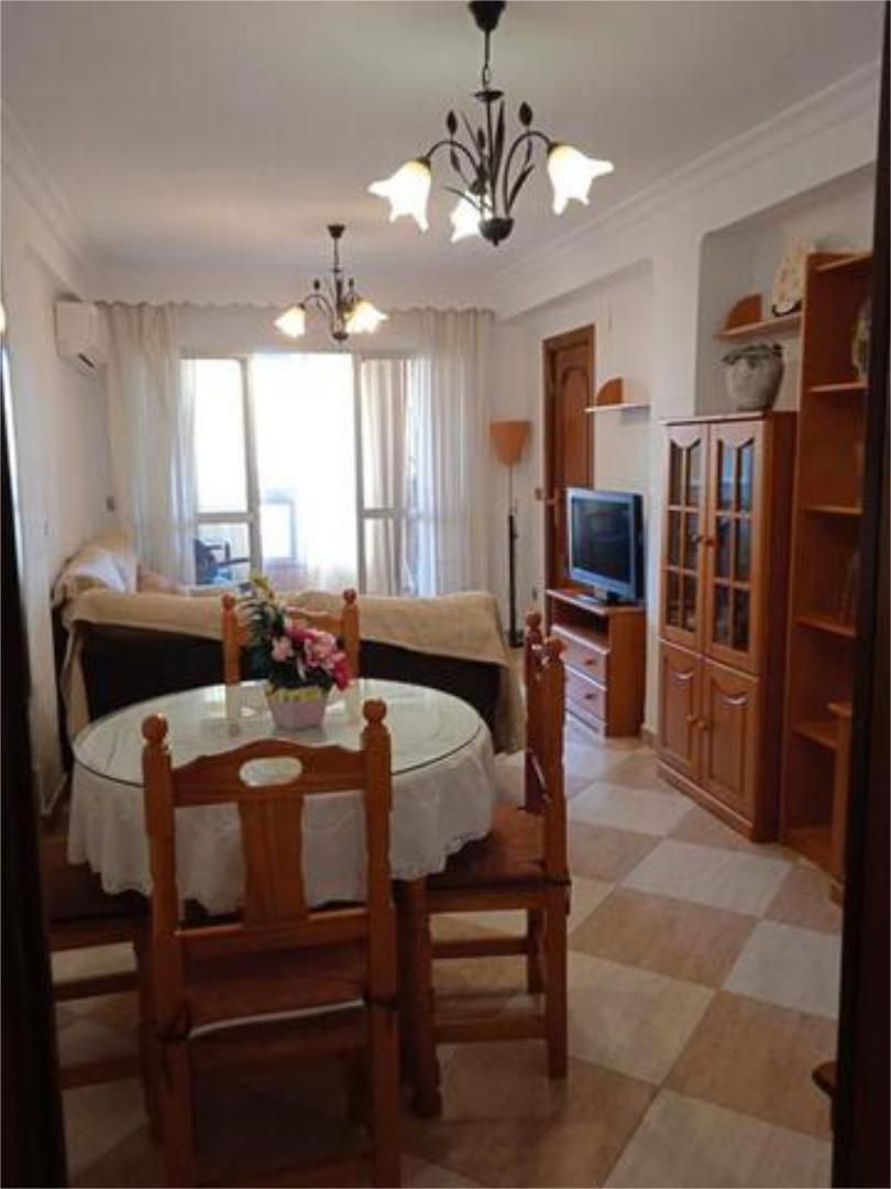 Living room of Flat to rent in Málaga Capital  with Heating, Terrace and Furnished
