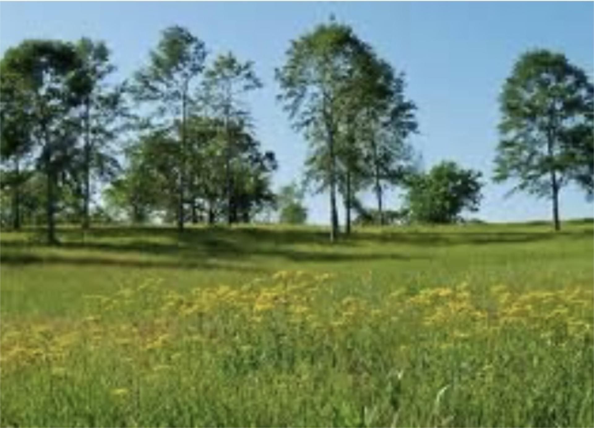 Planta baixa per a compartir a Rúa Alfonso Senra, 131, Ordes