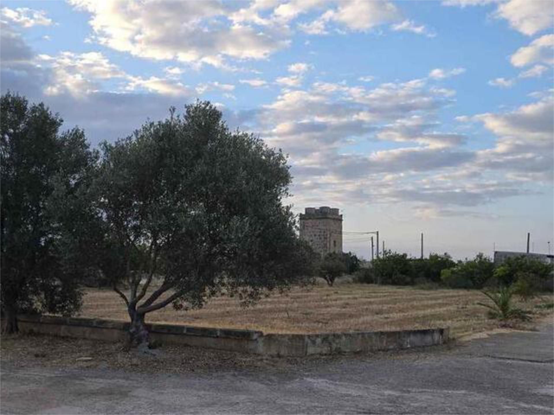 House or chalet to rent in Son Oliva
