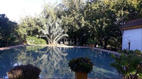 Finca rústica en venda a Diseminado Gamonosas, 177, Valverde del Camino, Huelva - imatge 4 Foto 4 de Finca rústica en venda a Diseminado Gamonosas, 177, Valverde del Camino, Huelva