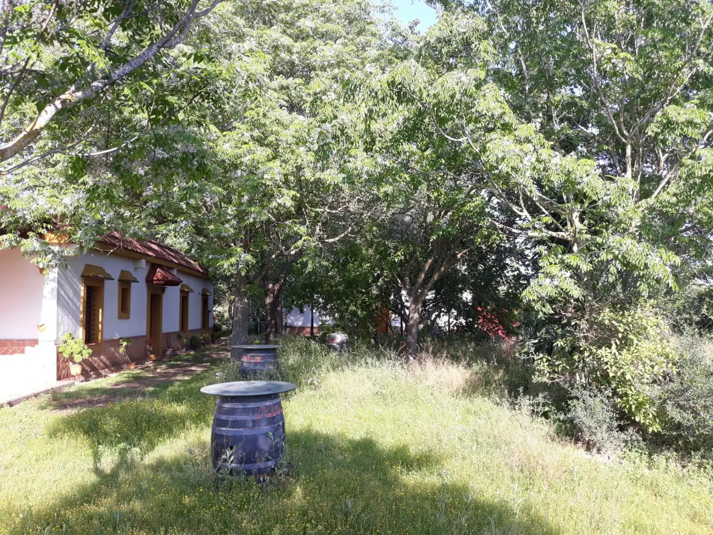 Finca rústica en venda a Diseminado Gamonosas, 177, Valverde del Camino Jardí de Finca rústica en venda en Valverde del Camino amb Aire condicionat, Calefacció i Jardí privat