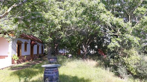 Finca rústica en venda a Diseminado Gamonosas, 177, Valverde del Camino, Huelva - imatge 5 Foto 5 de Finca rústica en venda a Diseminado Gamonosas, 177, Valverde del Camino, Huelva