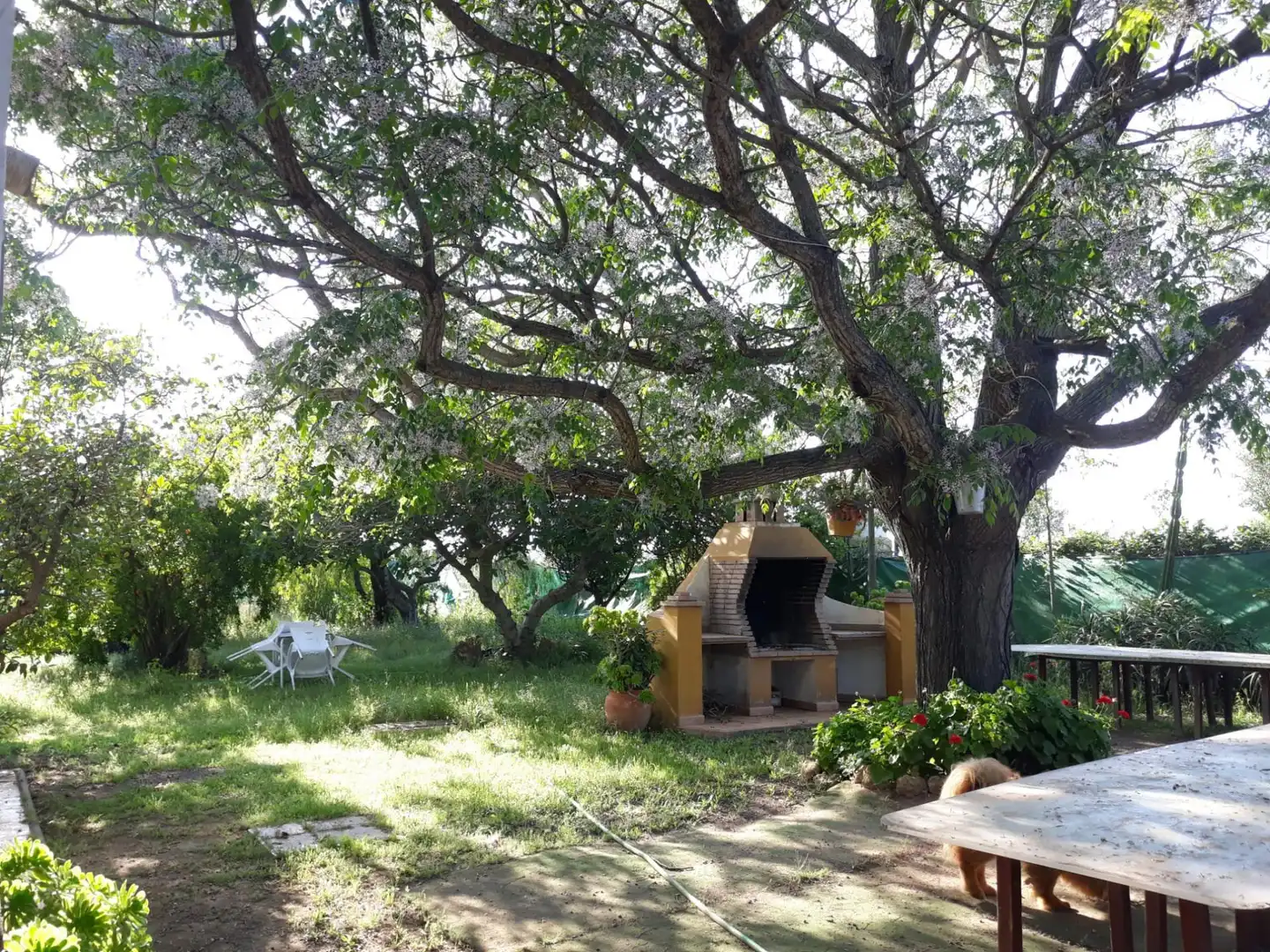 Finca rústica en venda a Diseminado Gamonosas, 177, Valverde del Camino Jardí de Finca rústica en venda en Valverde del Camino amb Aire condicionat, Calefacció i Jardí privat