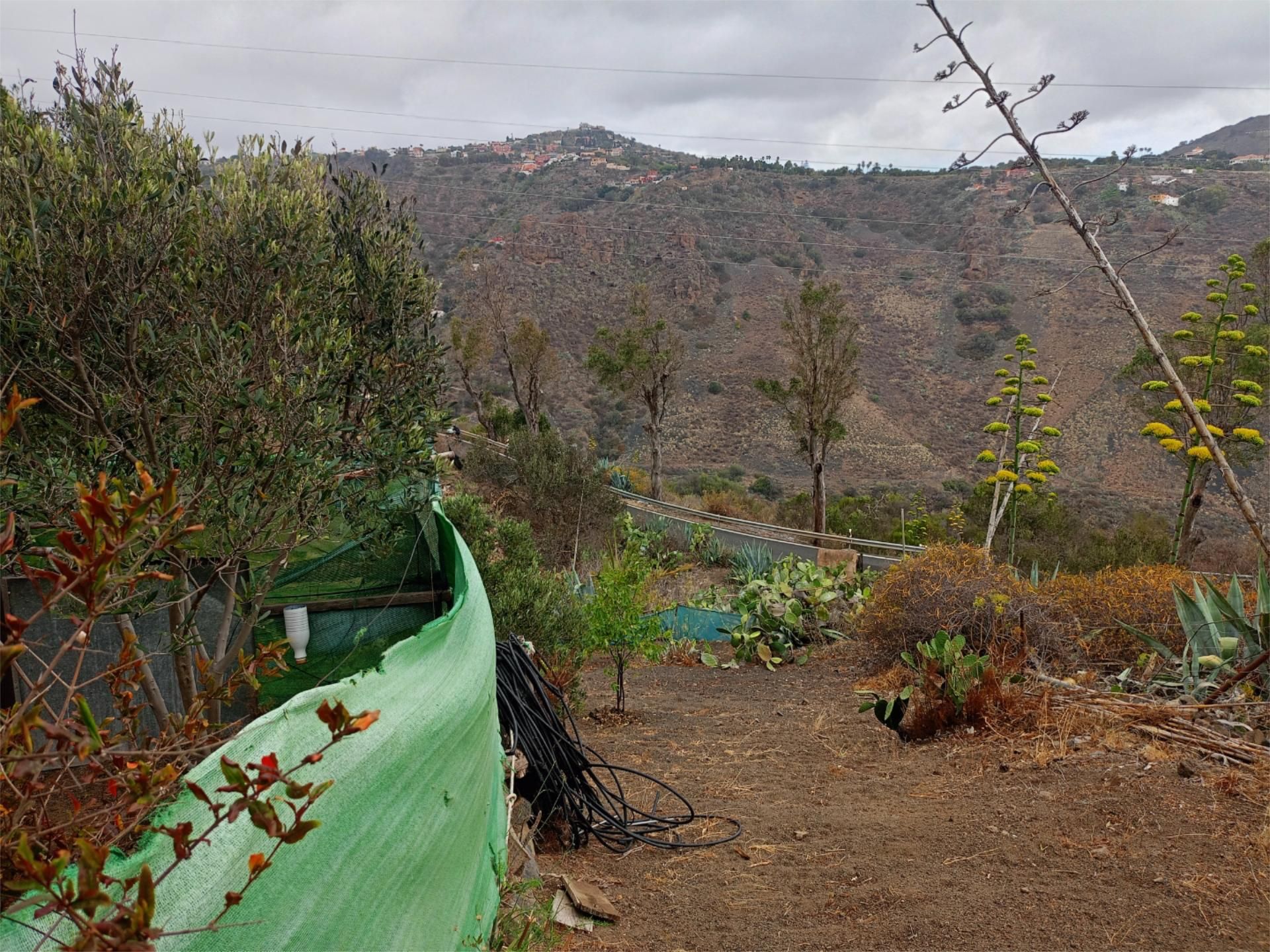 Jardí de Finca rústica en venda en Telde amb Aire condicionat, Terrassa i Piscina