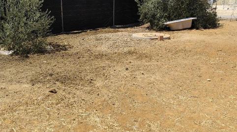 Photo 4 of Country house for sale in Calle D, 15, La Hacienda - Nueva Andalucía, Sevilla