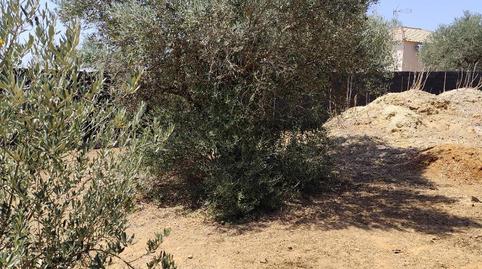 Photo 5 of Country house for sale in Calle D, 15, La Hacienda - Nueva Andalucía, Sevilla