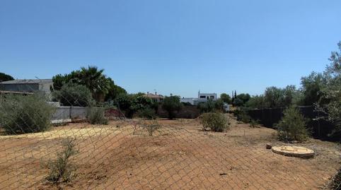 Photo 2 of Country house for sale in Calle D, 15, La Hacienda - Nueva Andalucía, Sevilla