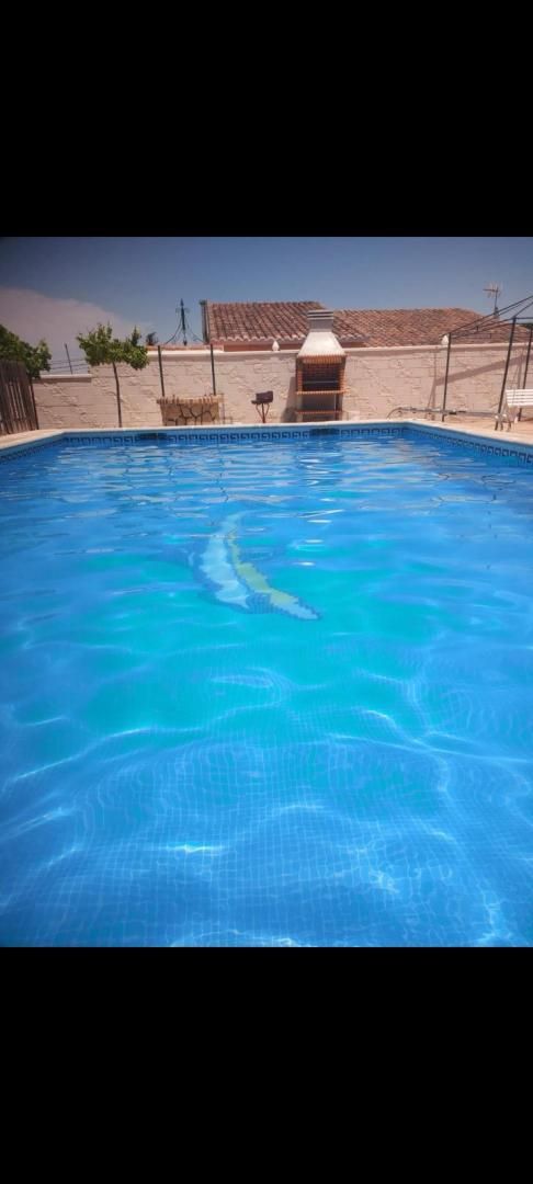 Swimming pool of House or chalet for sale in El Álamo  with Heating, Private garden and Terrace