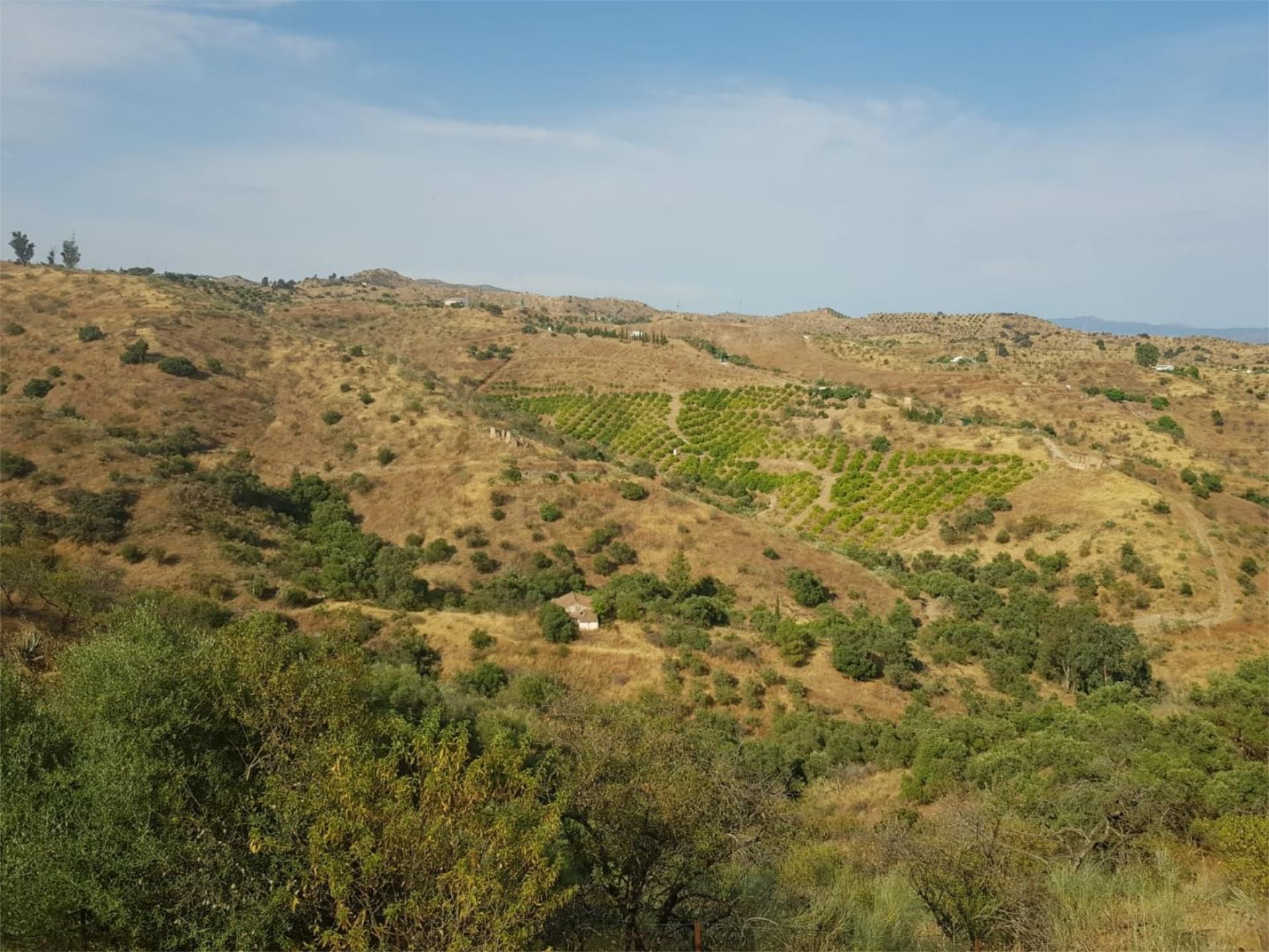 Finca rústica en venta en Cártama