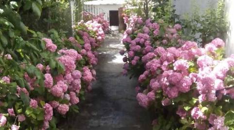 Foto 3 de Finca rústica en venda a Calle del Doctor Castilla, 9, Capileira, Granada