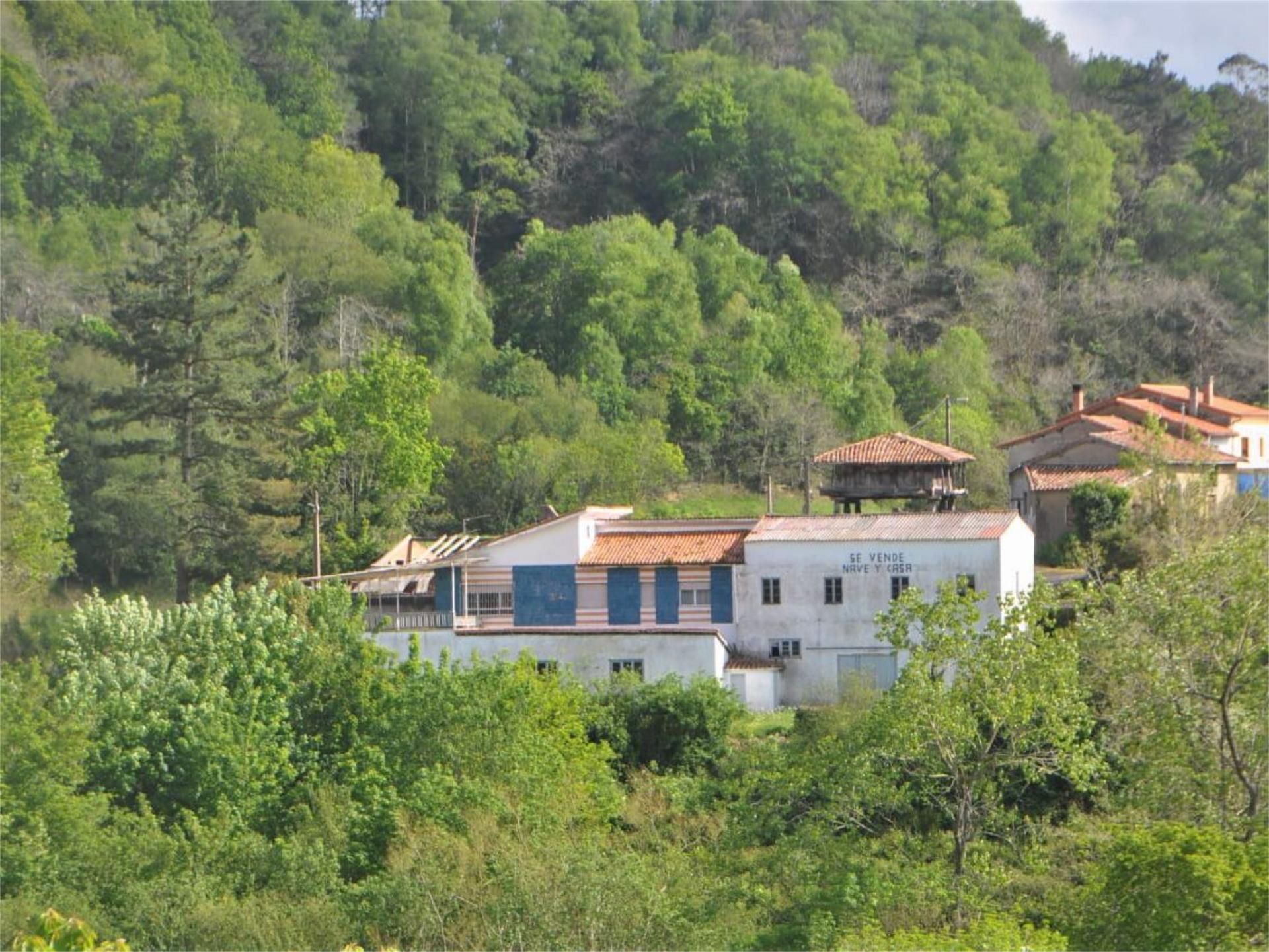 Vista exterior de Local en venda en Cabranes amb Calefacció, Parquet i Moblat