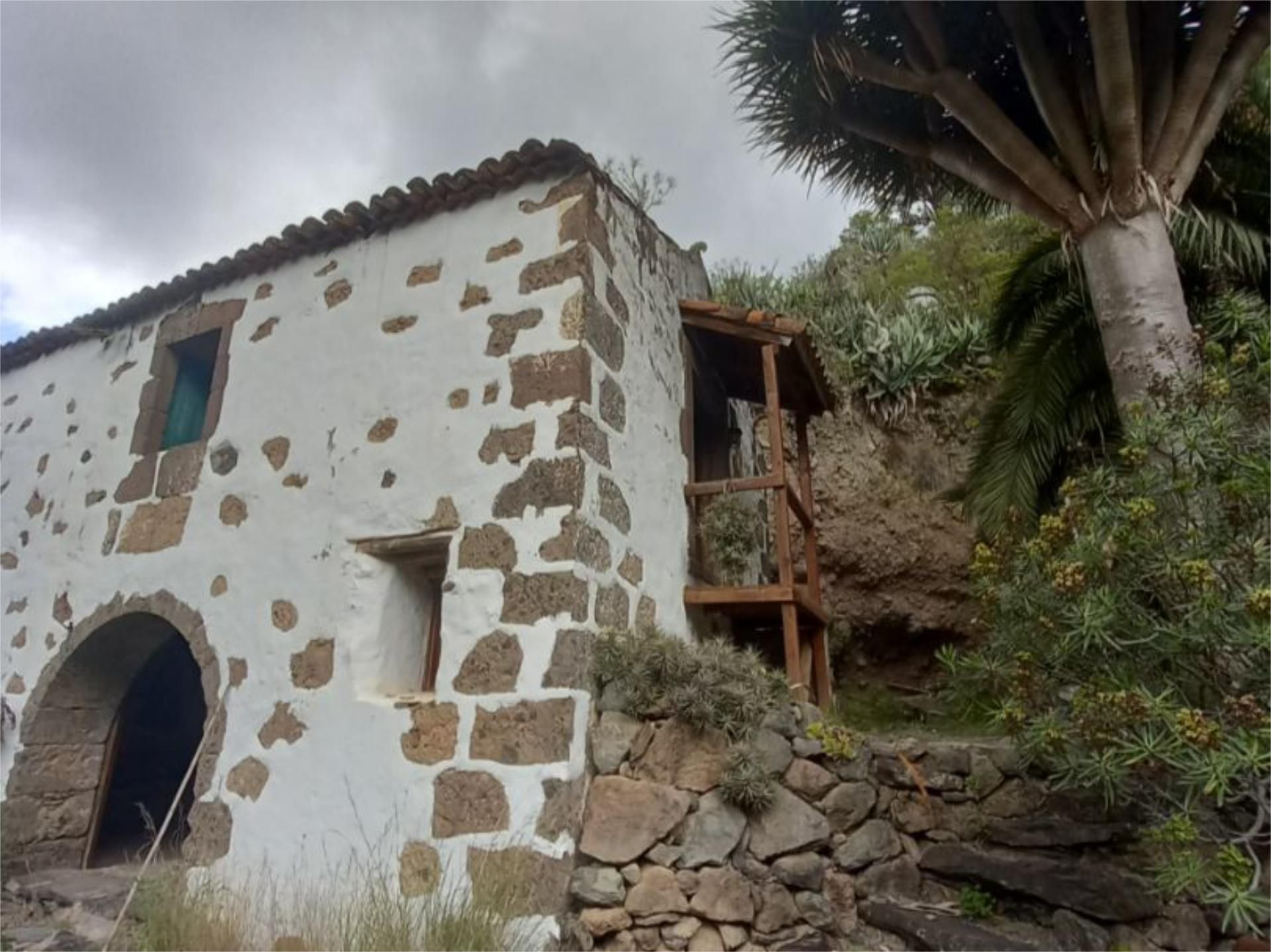 Vista exterior de Finca rústica en venta en Firgas con Terraza