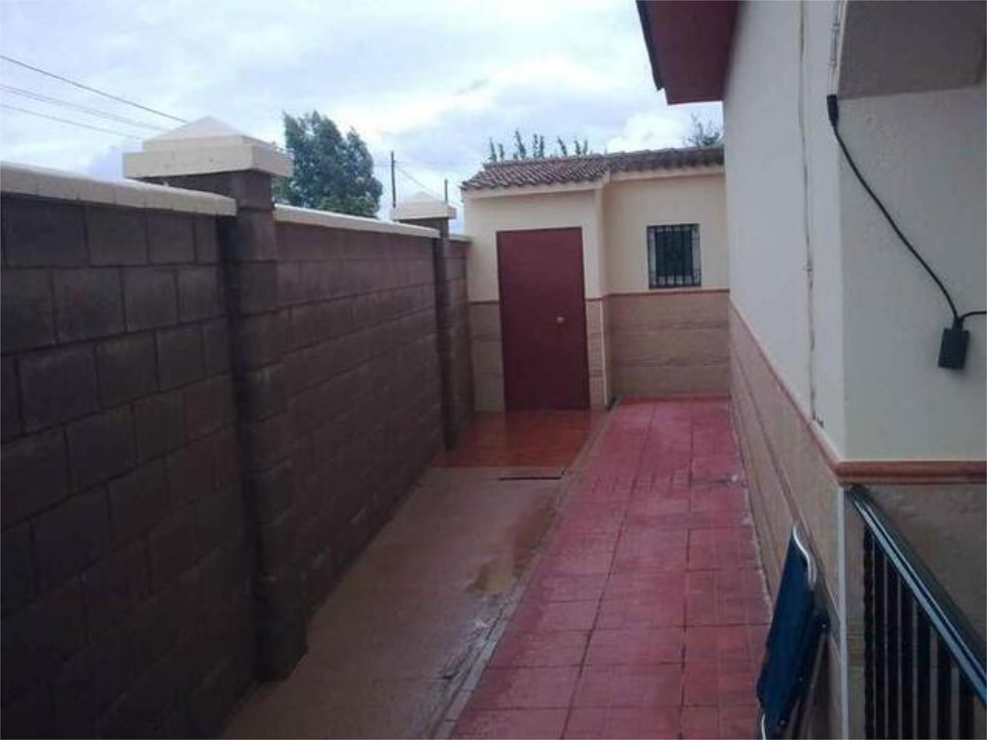 House or chalet to rent in El Higuerón