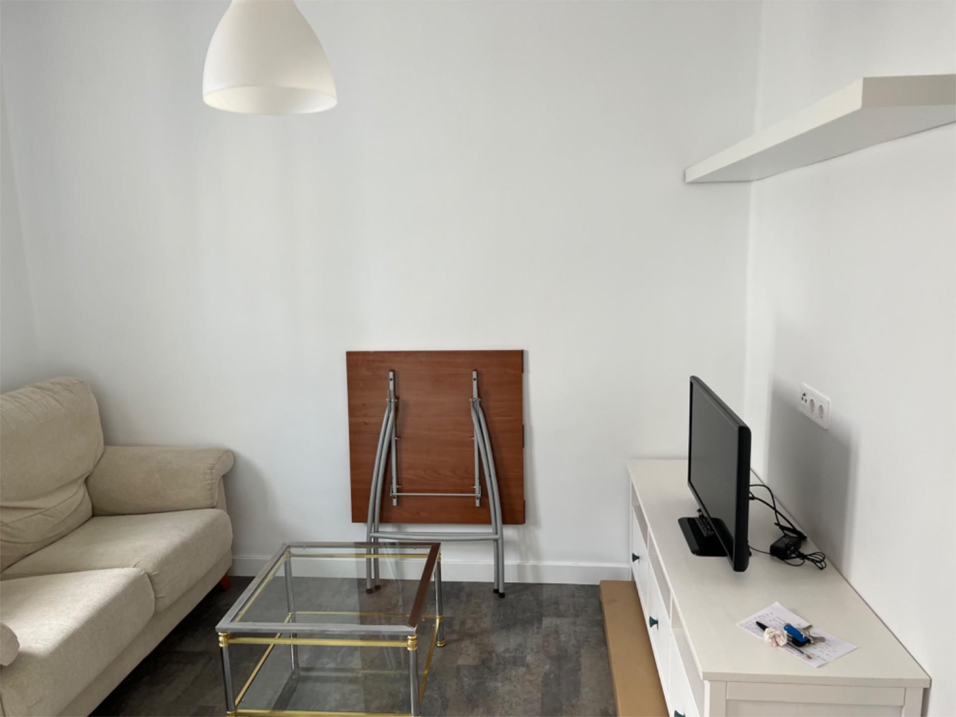 Sala d'estar de Pis de lloguer en Palencia Capital