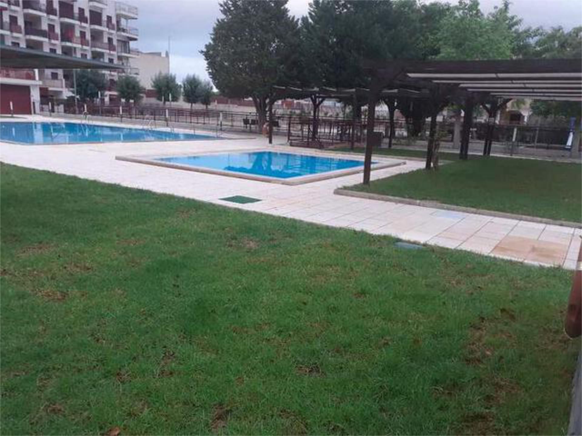 Swimming pool of Apartment for sale in Archena
