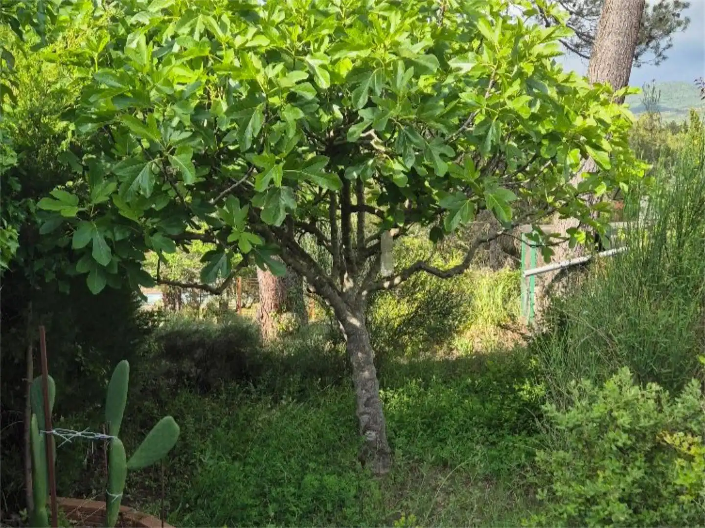 Wohnung zum Verkauf in Calle Pau Casals, 35, Sant Llorenç Savall Garten von Wohnung zum Verkauf in Sant Llorenç Savall mit Heizung, Privatgarten und Terrasse