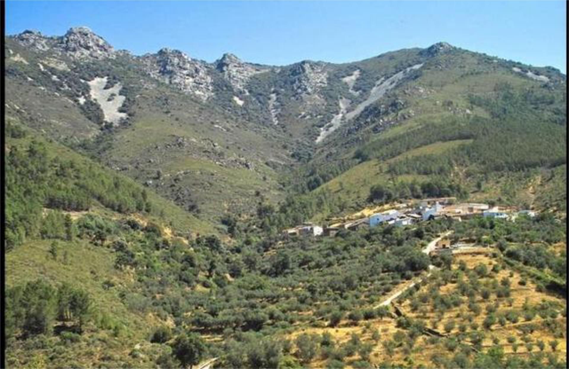 Exterior view of House or chalet for sale in Ladrillar  with Terrace and Furnished