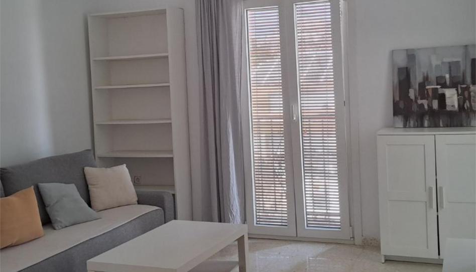 Pis de lloguer a Calle Cruces, 41, Casco Histórico - Zona Alta, Cádiz - imatge 1 Foto 1 de Pis de lloguer a Calle Cruces, 41, Casco Histórico - Zona Alta, Cádiz