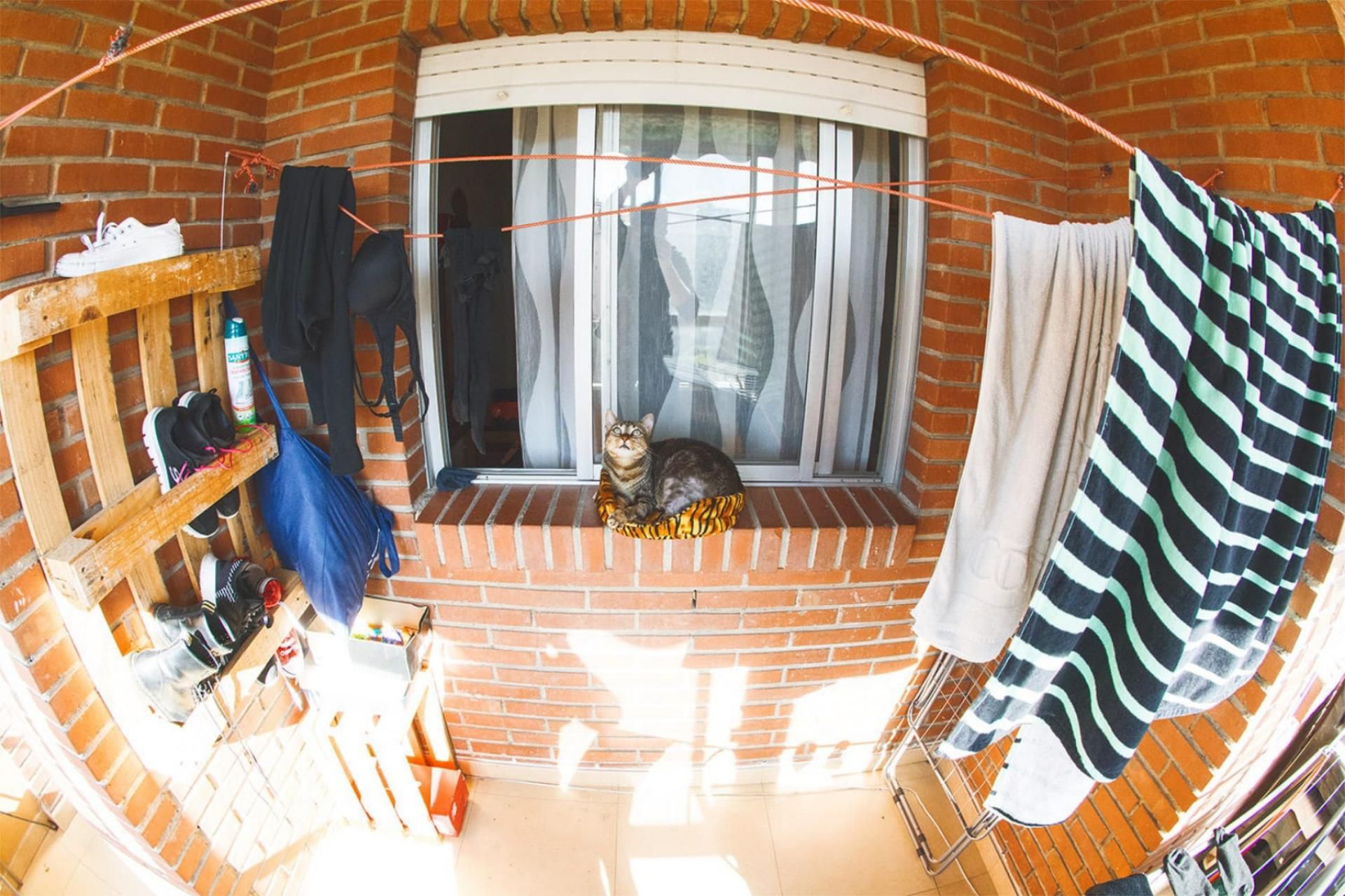Balcony of Flat to share in  Murcia Capital  with Storage room, Furnished and Oven