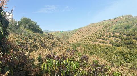 Land for sale in Calle Iznate, 5, Santa Cristina - San Rafael, Málaga - image 2 Photo 2 of Land for sale in Calle Iznate, 5, Santa Cristina - San Rafael, Málaga