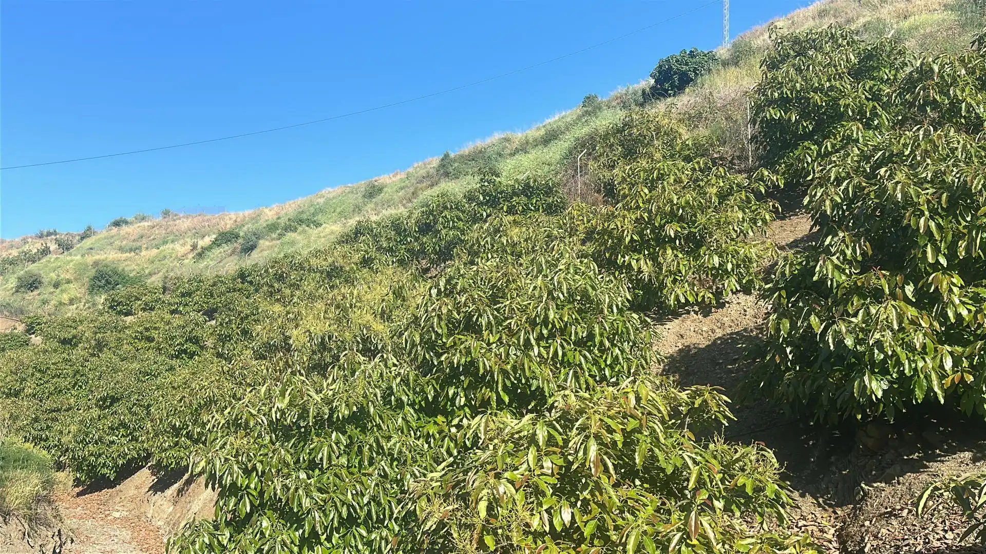 Grundstücke zum Verkauf in Calle Iznate, 5, Santa Cristina - San Rafael Grundstücke zum Verkauf in Málaga