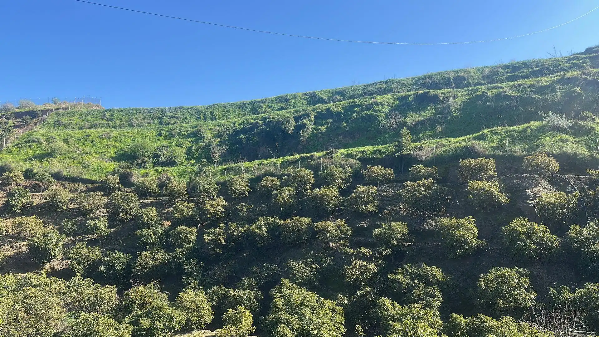 Grundstücke zum Verkauf in Calle Iznate, 5, Santa Cristina - San Rafael Grundstücke zum Verkauf in Málaga