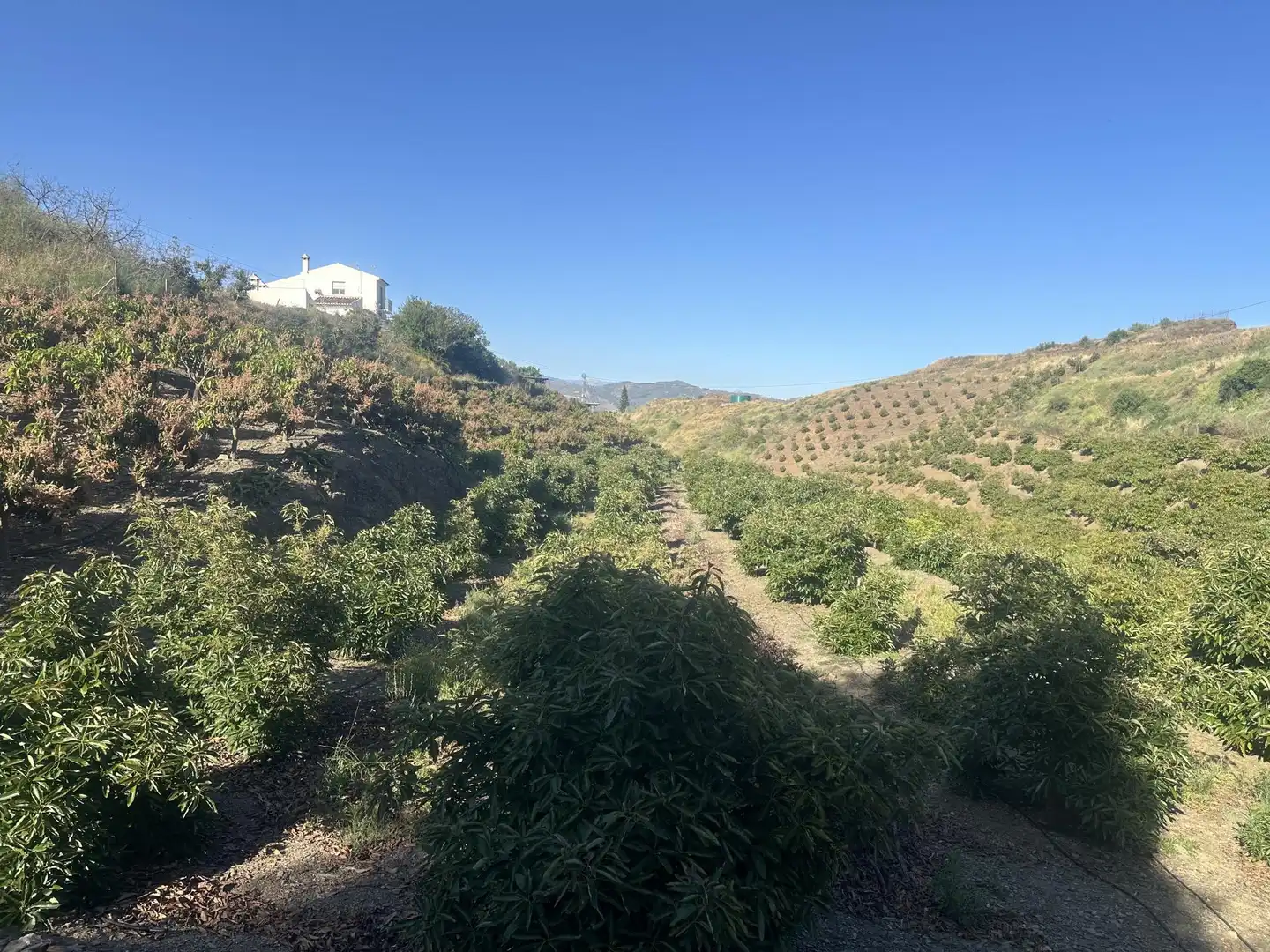 Grundstücke zum Verkauf in Calle Iznate, 5, Santa Cristina - San Rafael Außenansicht von Grundstücke zum Verkauf in Málaga