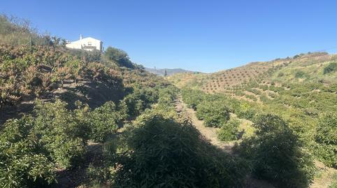 Land for sale in Calle Iznate, 5, Santa Cristina - San Rafael, Málaga - image 3 Photo 3 of Land for sale in Calle Iznate, 5, Santa Cristina - San Rafael, Málaga