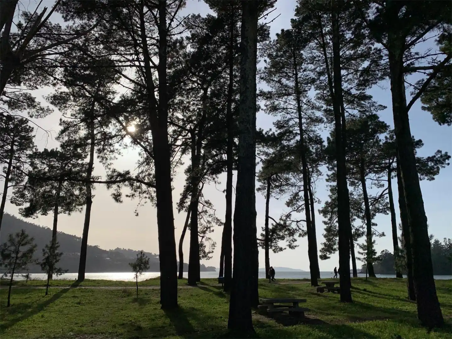 Flat for sale in Paseo da Madalena, 26, Cabanas Garden of Flat for sale in Cabanas with Heating, Private garden and Storage room