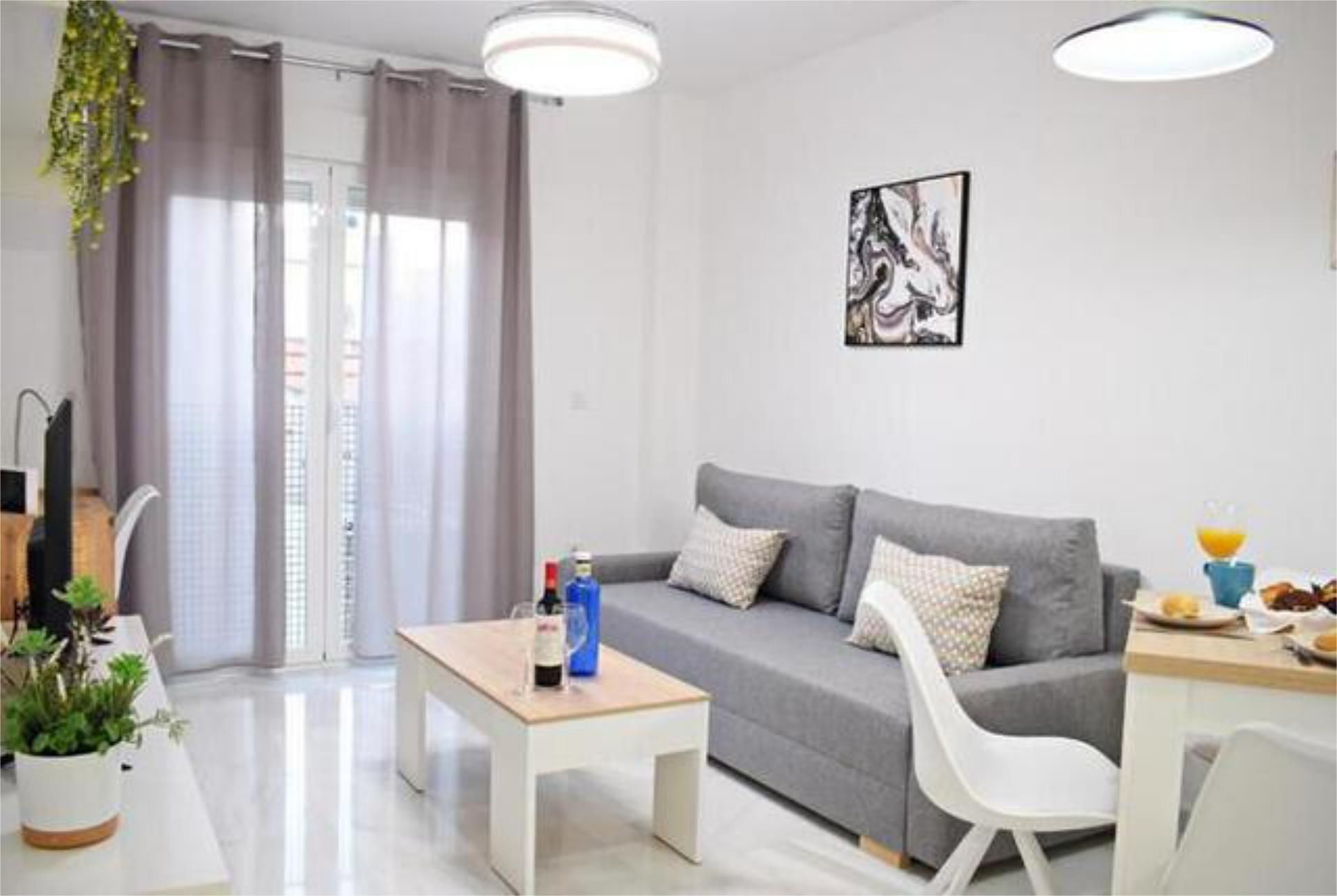 Living room of Flat to rent in Málaga Capital  with Furnished