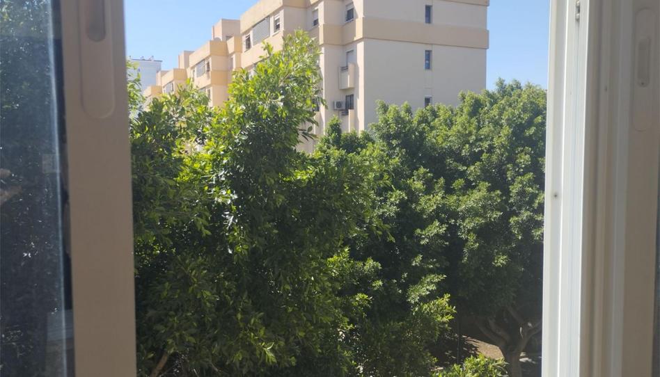 Flat to share in Calle Luis Barahona de Soto, 1, Los Guindos - Parque Mediterráneo - Santa Paula, Málaga - image 1 Photo 1 of Flat to share in Calle Luis Barahona de Soto, 1, Los Guindos - Parque Mediterráneo - Santa Paula, Málaga