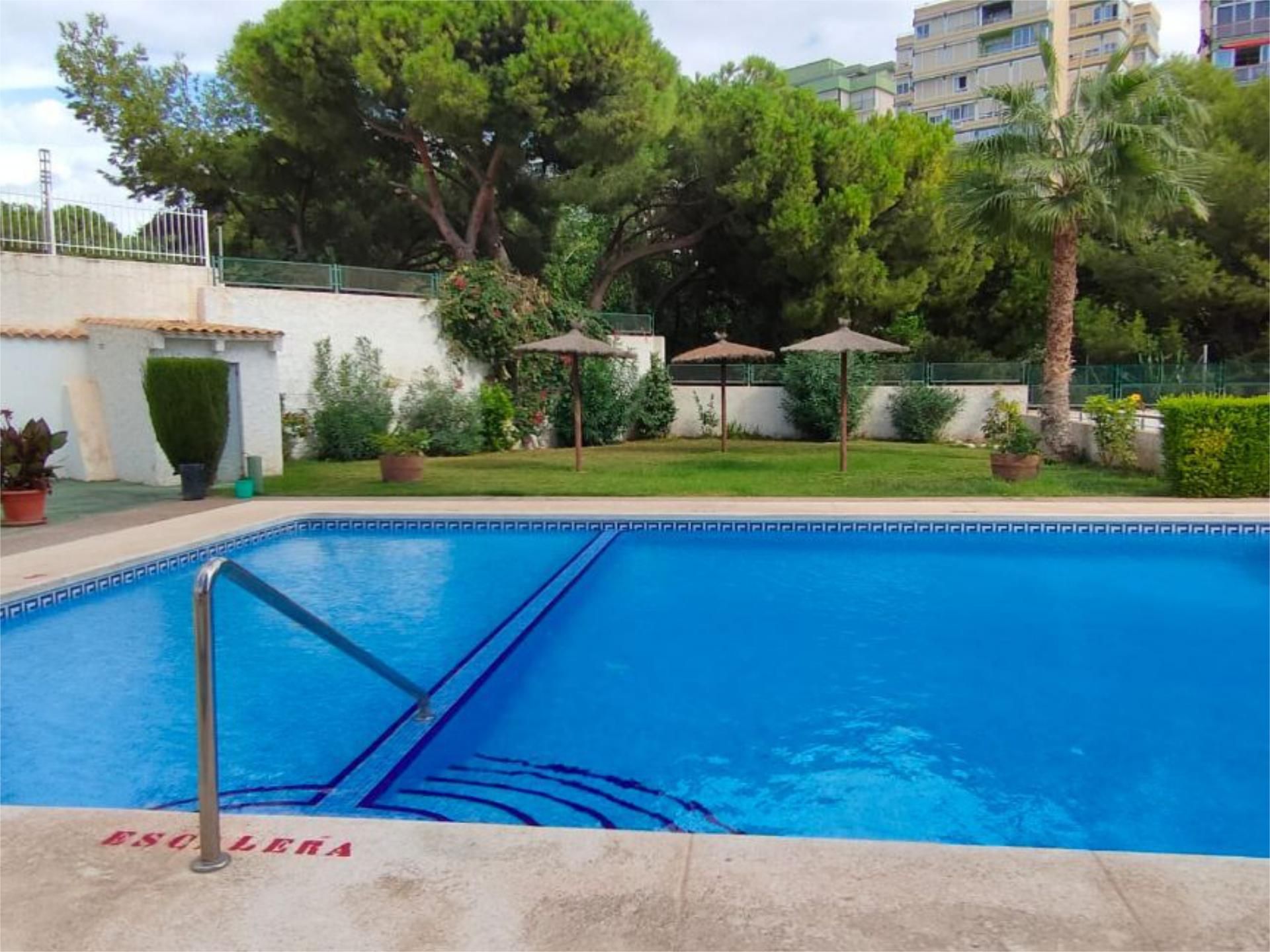 Piscina de Pis de lloguer en Benidorm amb Aire condicionat, Calefacció i Terrassa