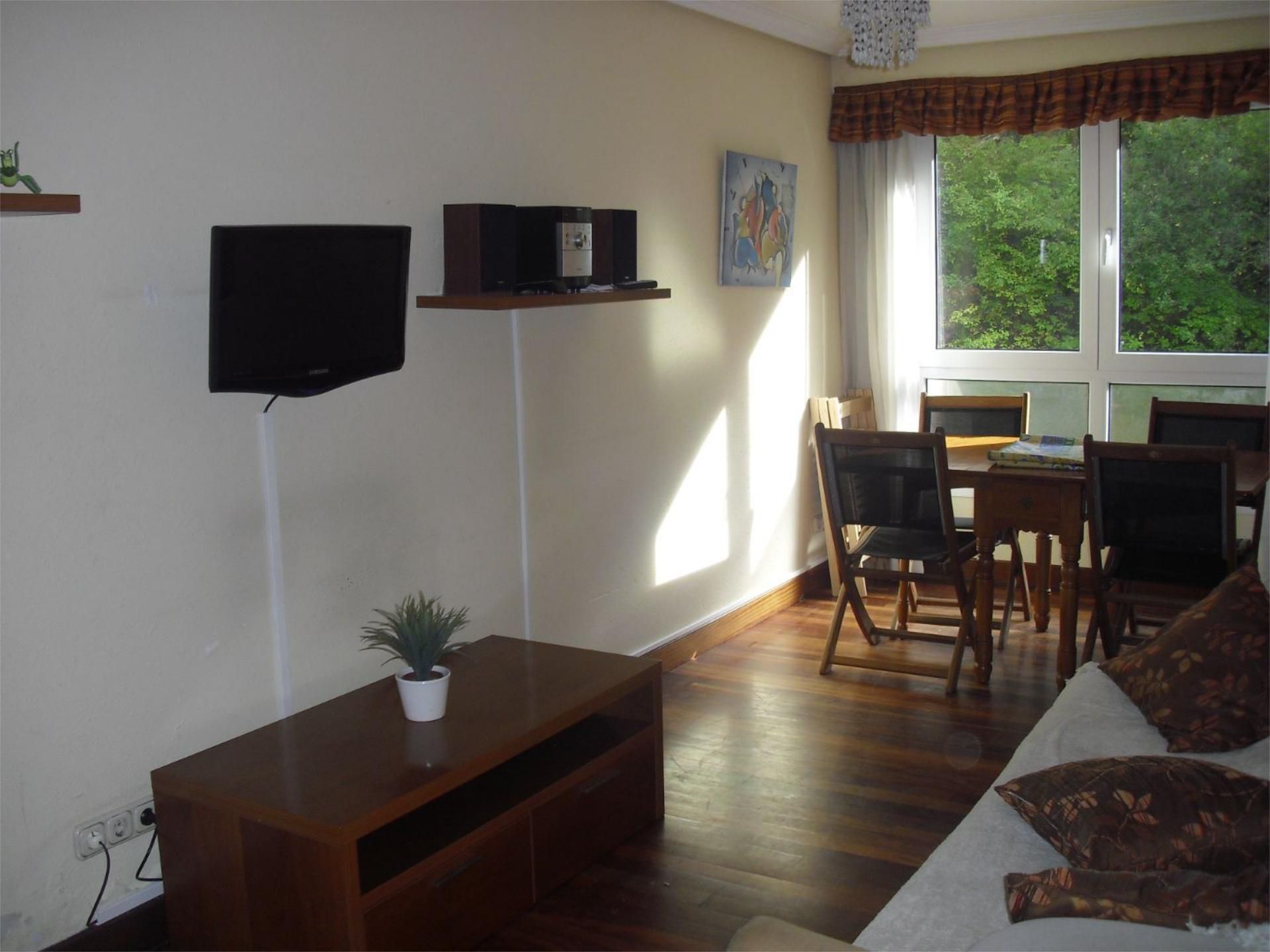 Sala d'estar de Pis de lloguer en Donostia - San Sebastián 