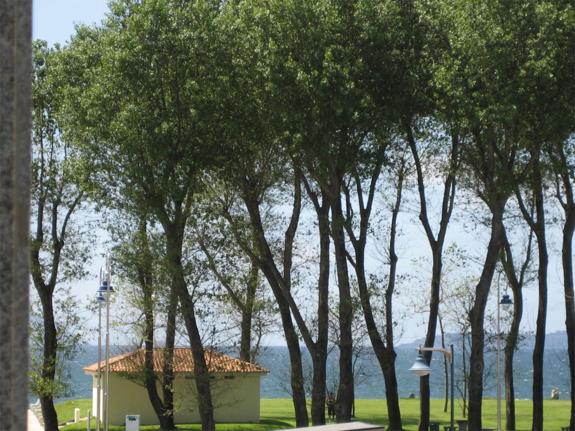 Garden of Flat to rent in Vigo   with Heating, Private garden and Parquet flooring