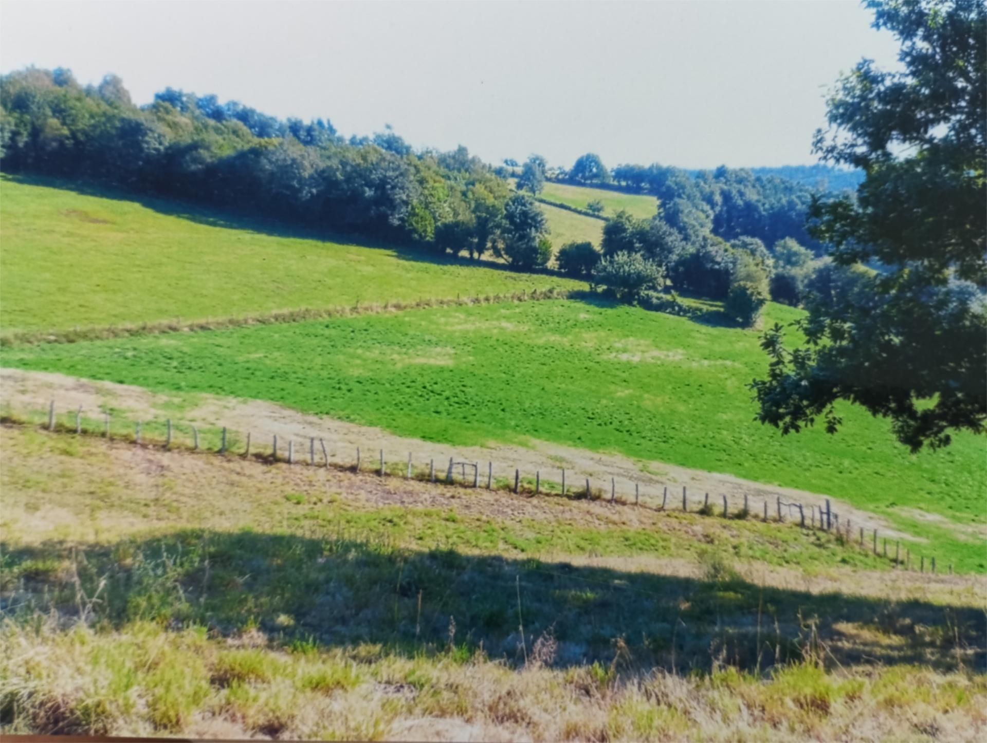 Finca rústica en venda en Allande