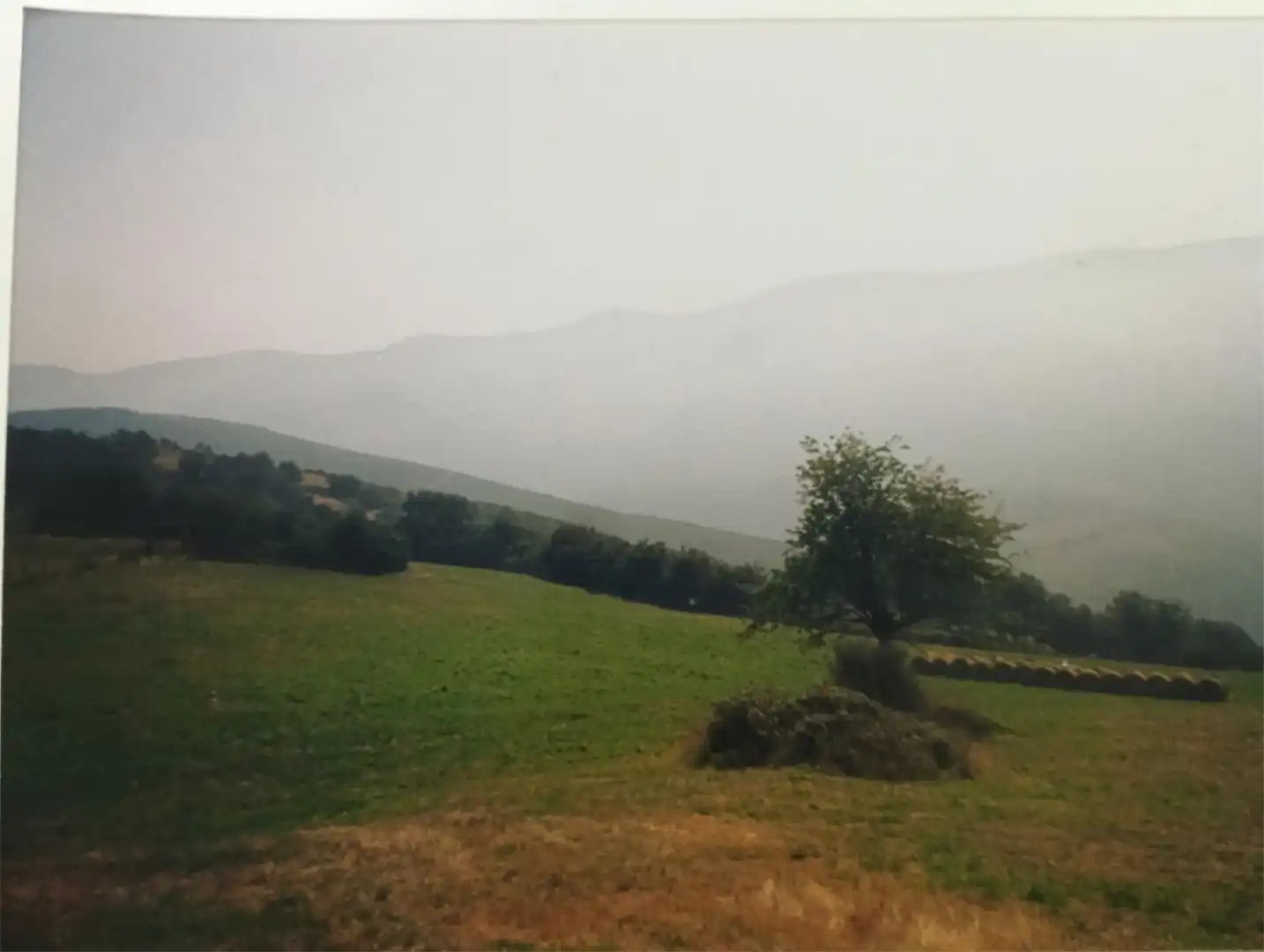Country homes for sale in Allande