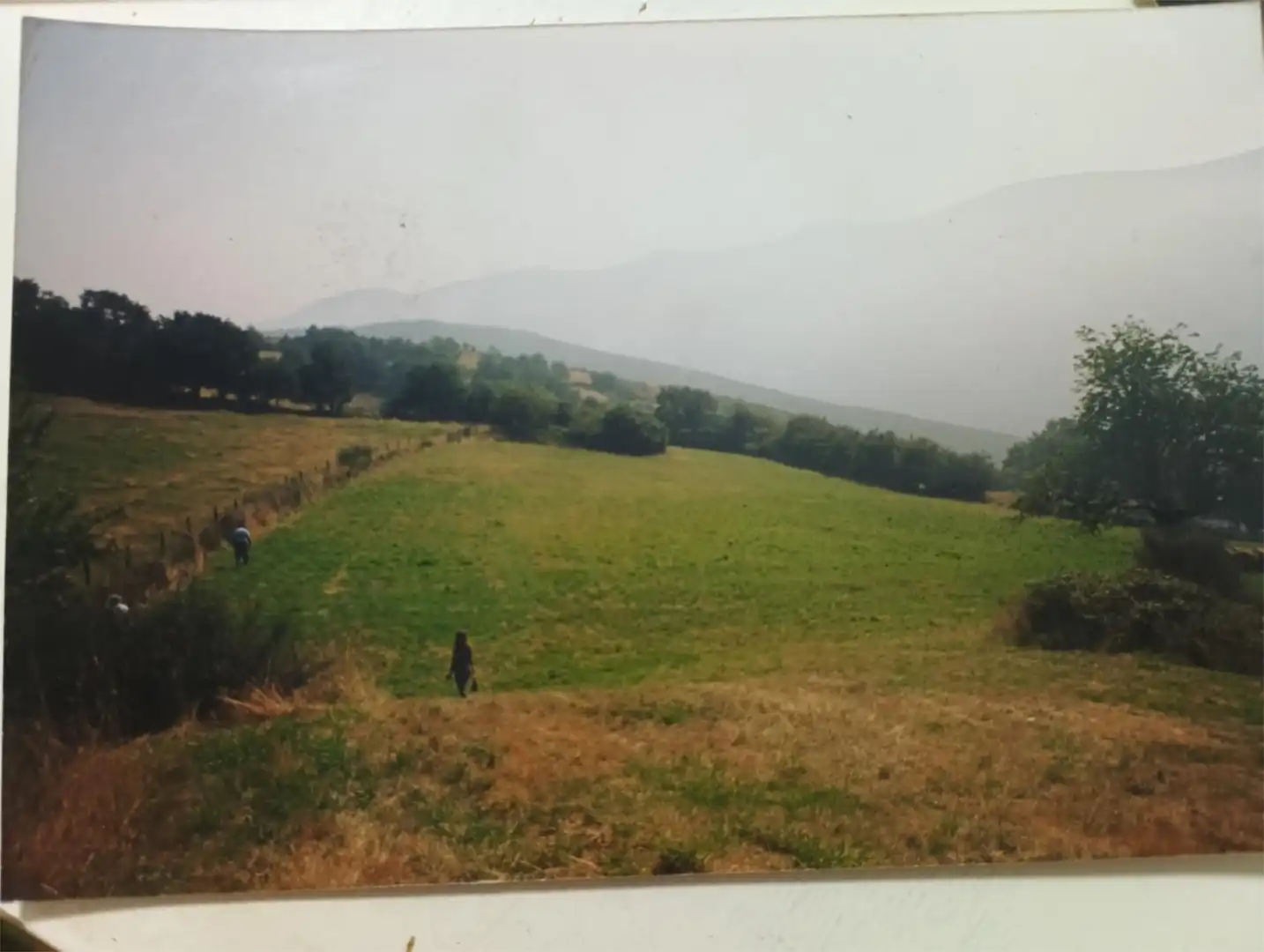 Country homes for sale in Allande