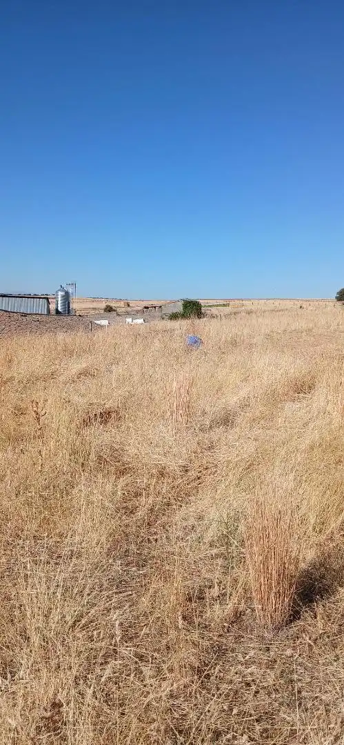 Terreno en venta en Alaraz