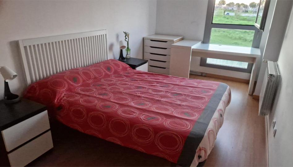 Foto 1 de Piso para compartir en Poligono Vp. Buenavista, 7a, Buenavista, Madrid